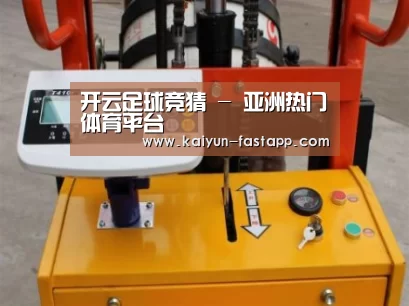 开云娱乐APP案例展示三