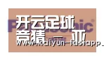 开云娱乐APP合作伙伴四