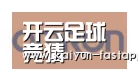 开云娱乐APP合作伙伴五