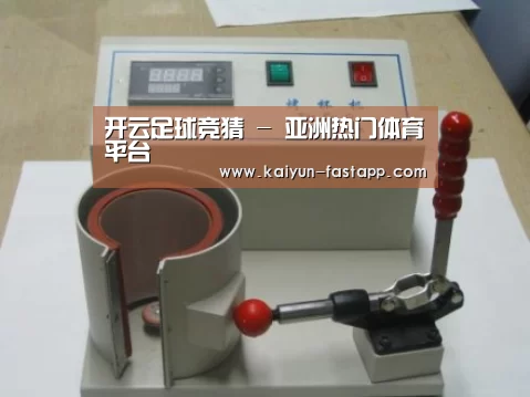 开云娱乐APP案例展示六