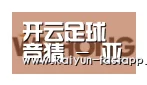 开云娱乐APP合作伙伴三