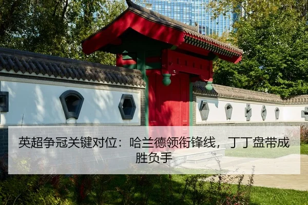 ying-chao-zheng-guan-guan-jian-dui-wei-ha-lan-de-ling-xian-feng-xian-ding-ding-pan-dai-cheng-sheng-fu-shou-3-743.jpg