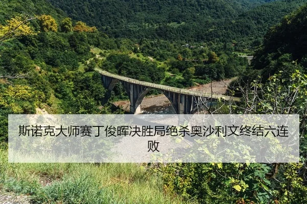 si-nuo-ke-da-shi-sai-ding-jun-hui-jue-sheng-ju-jue-sha-ao-sha-li-wen-zhong-jie-liu-lian-bai-2-502.jpg