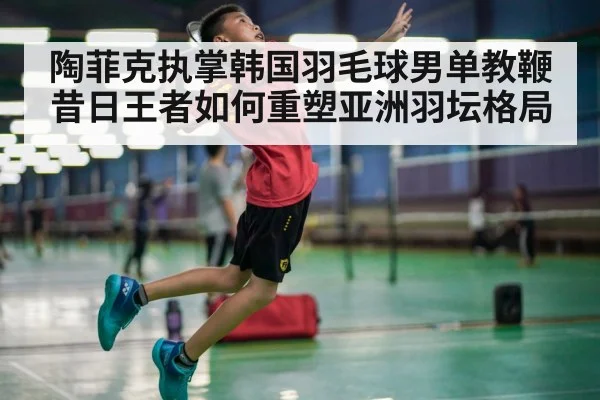 陶菲克执掌韩国羽毛球男单教鞭昔日王者如何重塑亚洲羽坛格局