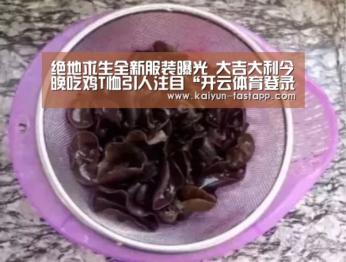 绝地求生全新服装曝光 大吉大利今晚吃鸡T恤引人注目“开云体育登录入口”(图3) 开云体育登录入口