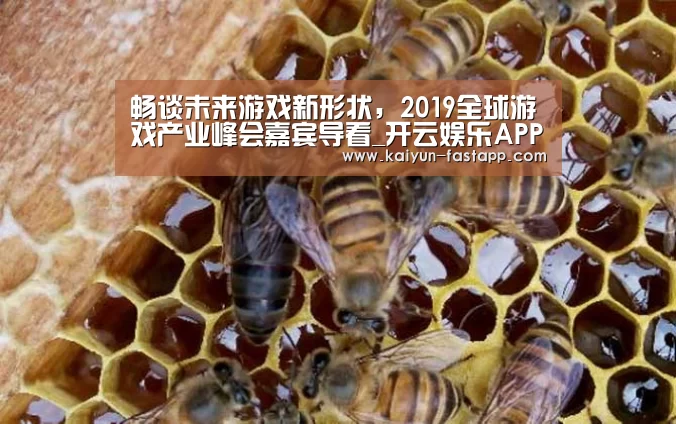 开云体育登录入口